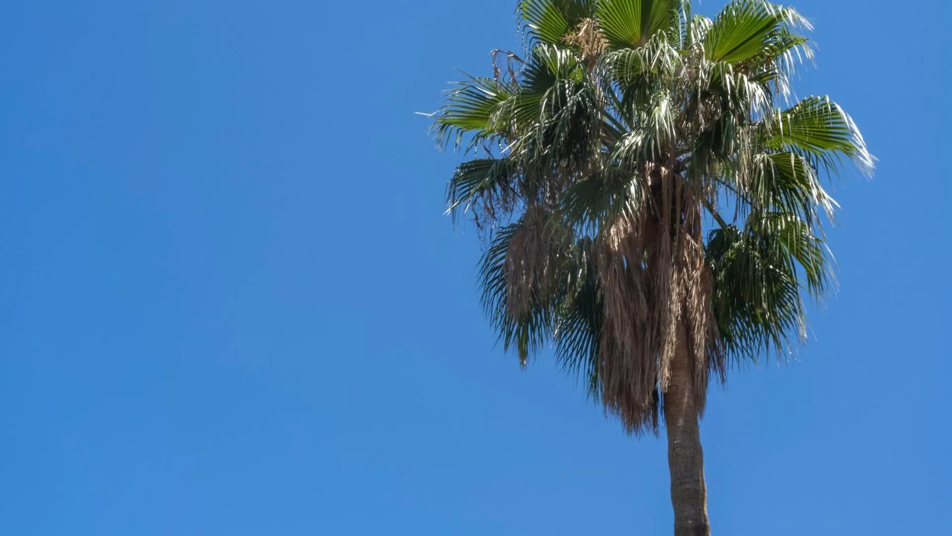 Villa Camma With Private Pool Mirto  Guest house Mirto (Messina)